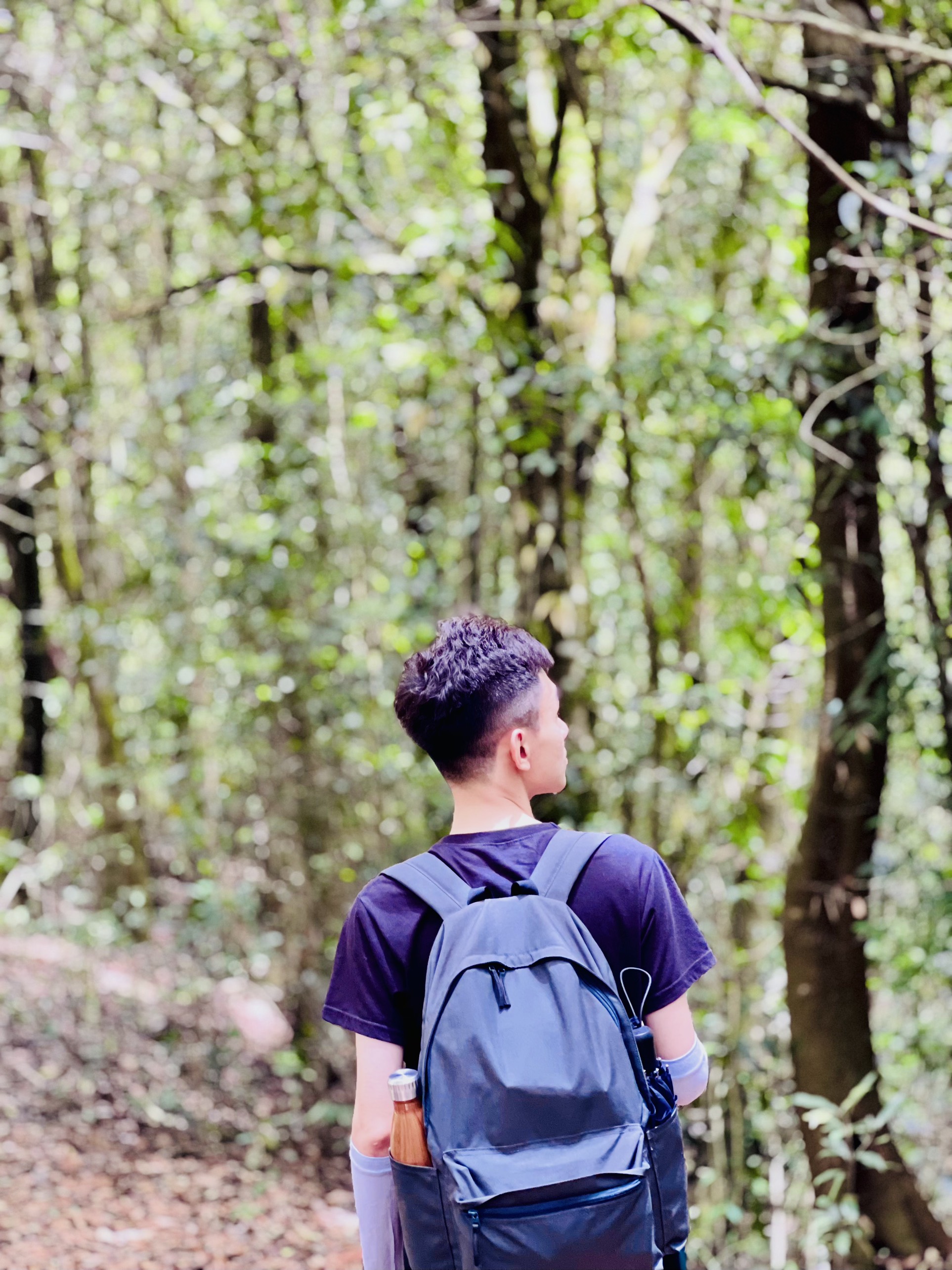 A recipe for one good day in Da Lat: 6.5 km of pine forest, a picnic, and two hours on the water