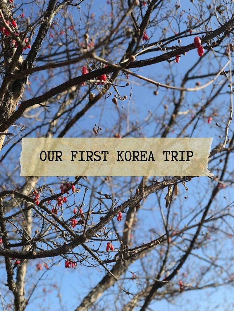  Du lịch Hàn Quốc tự túc - Bạn có dám thử?