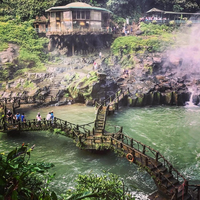 바오록에서 무엇을 먹을까요?